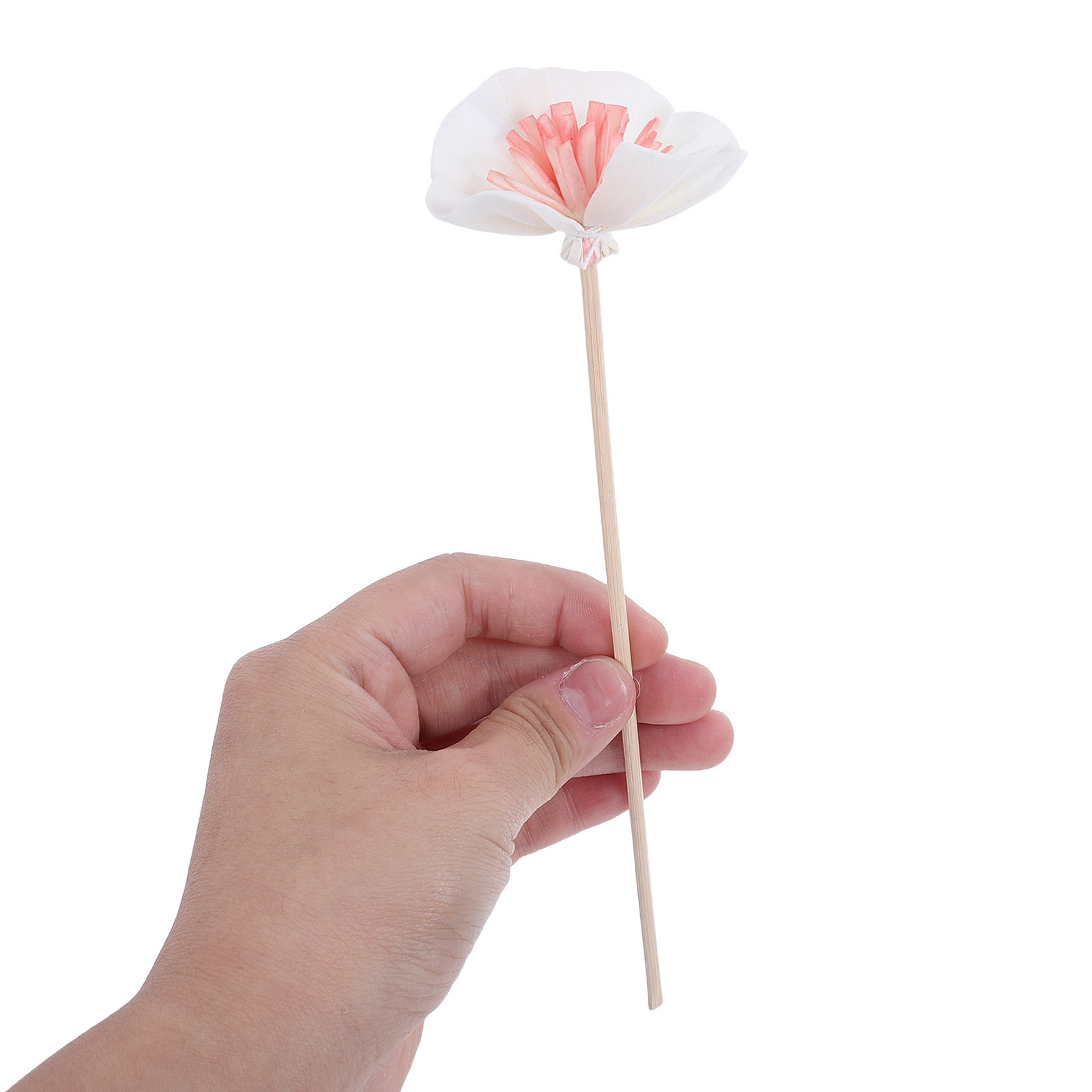10Pcs Black Essential Oil Diff - đánh giá và giá Aromatherapy Diffuser