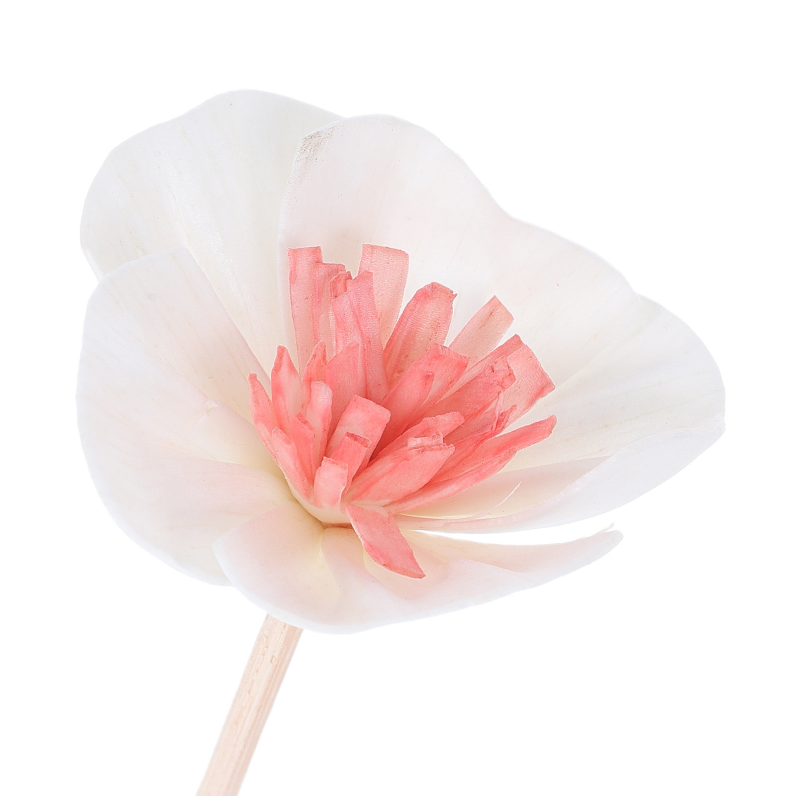 10Pcs Black Essential Oil Diff - đánh giá và giá Aromatherapy Diffuser