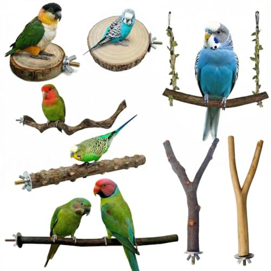 8PCS natural wood bird perches - đánh giá và giá Health & Wellness Kuala Lumpur