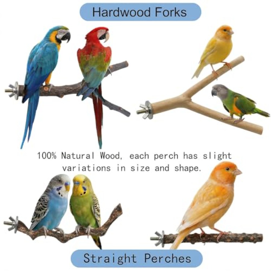8PCS natural wood bird perches - đánh giá và giá Health & Wellness Kuala Lumpur