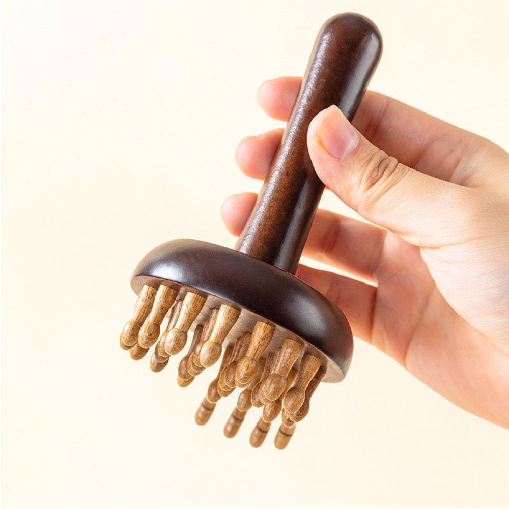 Manual Meridian Massage Brush  - đánh giá và giá Holistic Health & Wellness