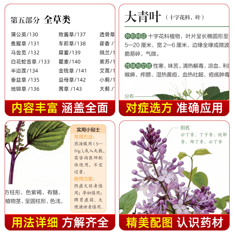 Illustrated Guide  Chinese Her - đánh giá và giá Holistic Health & Wellness